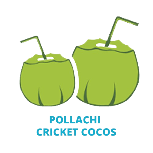 pollachi cricket cocos